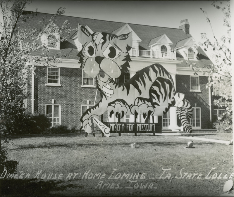 A lawn display of a bandaged tiger is displayed at the Omega House at Home Coming. A sign below the display reads "ISC Misery for Missouri.".