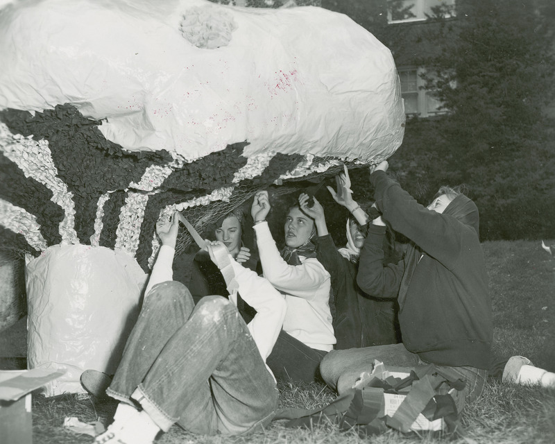 A group of women are working on the Alpha Delta Pi's lawn display for Homecoming.