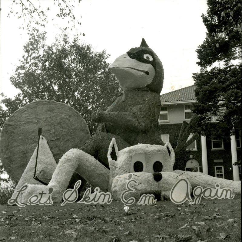 Beta Theta Pi, Tau Sigma Chapter, lawn display of Let's Skin 'Em Again, shows Cy sharpening a blade while sitting on the Kansas State University Wildcat, is shown close-up, October 1961.