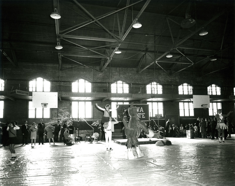 Cy and cheerleaders lead the alumni pep rally in the State Gym for Homecoming, 1966.