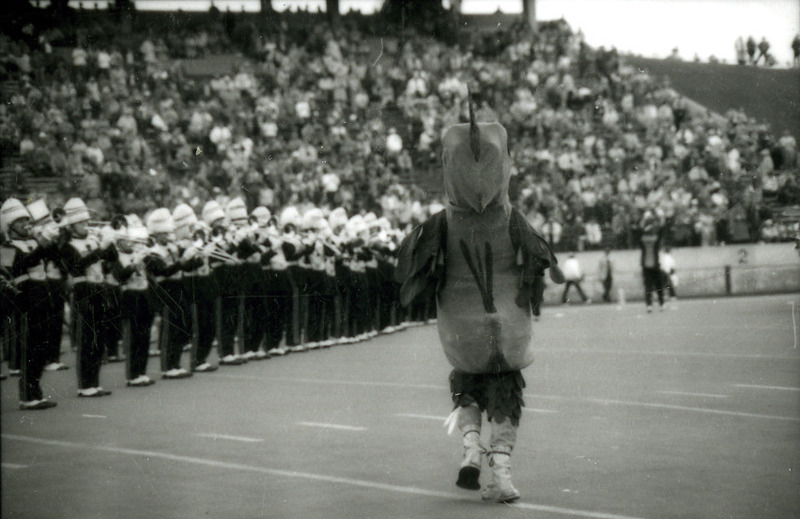 Cy struts on the field toward the Marching Band at Homecoming, 1985.