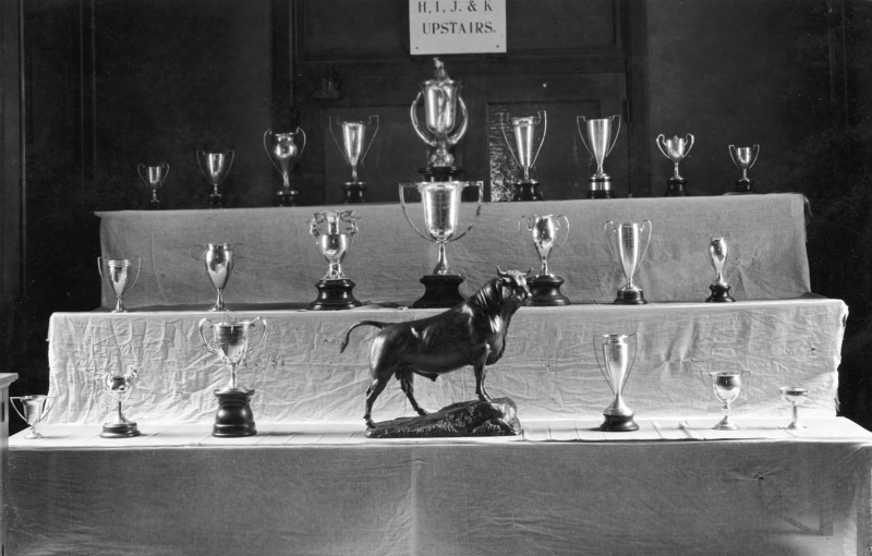 A display of trophies at the Agriculture open house.