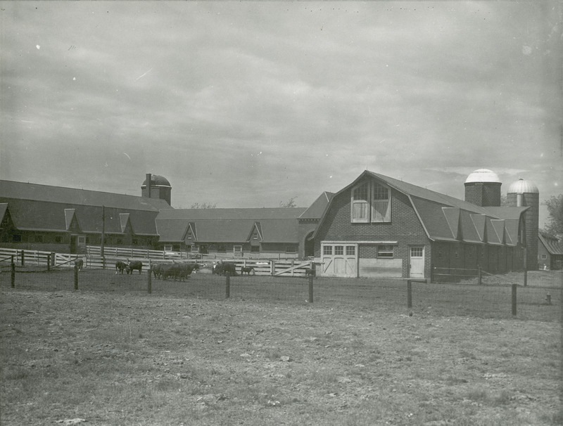 The Cattle Barn with three silos used for feed storage are also shown. Several beef cattle appear in the foreground.