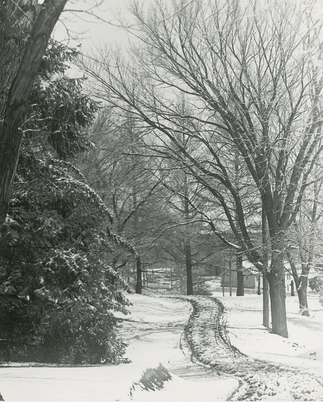 In a wintertime scene, the Hog Barn is seen in the distance through the trees. According to an interoffice communication from William F. LaGrange this photograph shows the barn as located on the north side of fampus in the early 1920's, north of the Women's Gym and close to the railroad tracks. The road shown in the photograph came up to the Dairy Building and the Agricultural Annex.