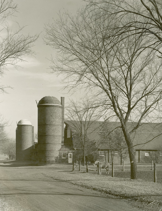 A view of one of the Horse Barns. A dirt road leads to the horse barn that has silos attached. A horse is behind a barbed wire fence.