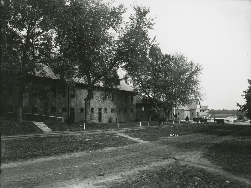 The brick Horse Barn on the left, built around 1900, with the Iowa Agricultural College Experiment Barn and the Judging Pavilion on the right. Two beef cattle are shown being led into the Pavilion as several men also approach the area.