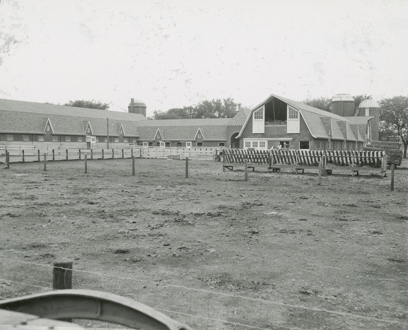 The Cattle Barn with three silos used for feed storage are shown. Feed lots appear in the foreground, including a long feed bunk for feeding the cattle. Several men are working between the feed bunk and the barn which has the doors opened to the hay loft above. A loaded hay wagon is seen to the right of the barn.