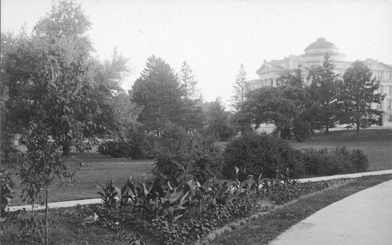 A summer canna garden planting in the near foreground with Beardshear Hall in the distance. Trees and shrubbery obscure the view of the building.