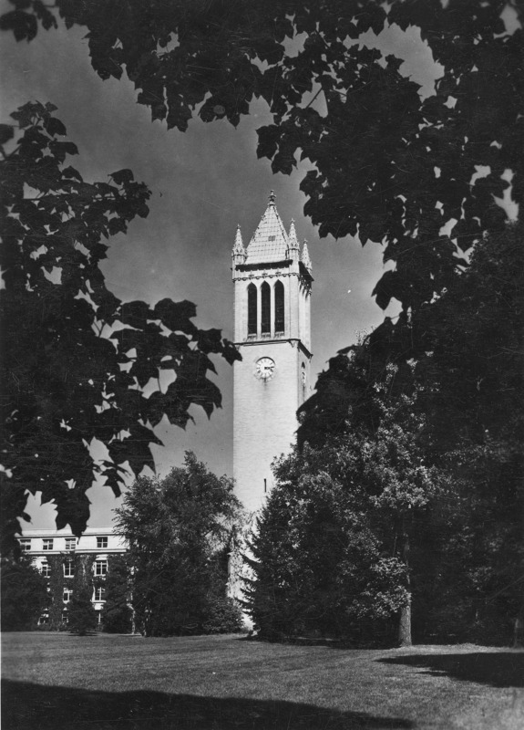 The Campanile in warm weather. The middle distance view shows the Campanile framed by dark foliage both close to the structure and close to the camera. Curtiss Hall is in the background on the left of the image. The clock shows 3:16.