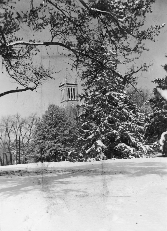 The Campanile in winter. The long distance photograph shows the top of the tower rising from a group of trees, which together with an overhanging branch close to the camera frame the Campanile as the focus of the shot. The clock shows 10:10.