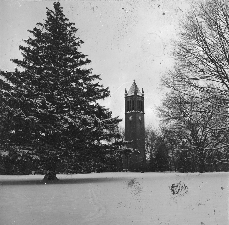 The Campanile on a snow covered central campus. Clock shows 3:10. A conifer in the left near foreground and a leafless tree on image right frame the Campanile. There are surface stains on the photograph. One of a set of three photographs of The Campanile, each showing the same aspect of the tower but varying in location of the camera. The other photographs in the set are: 4-8-I.Campanile.230-7-4-2 and 4-8-I.Campanile.230-7-4-3.