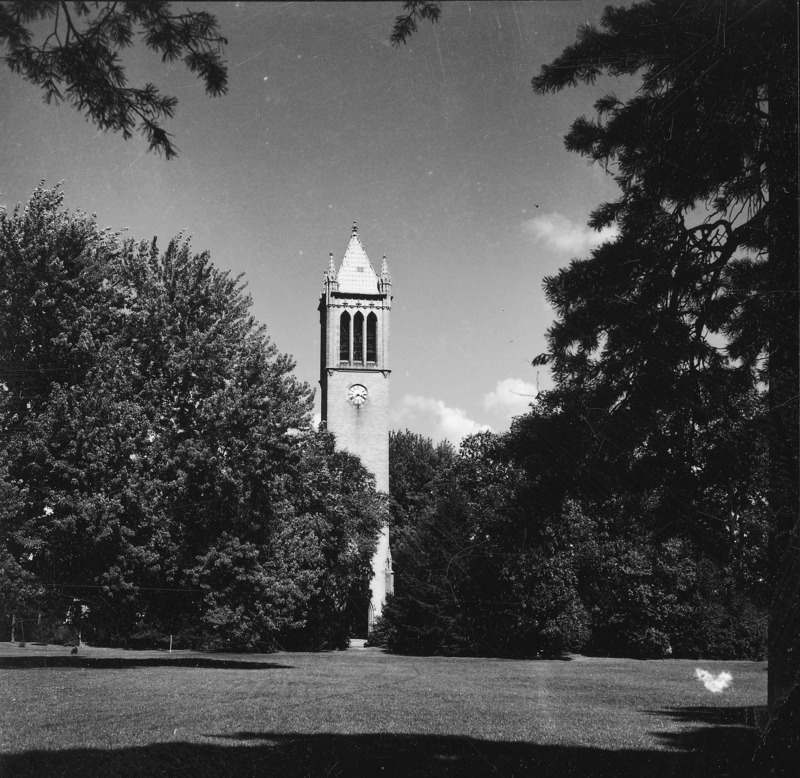 The Campanile as seen through an opening in the surrounding grove of trees. Clock shows 3:41. Fully leafed tree branches and foreground shadows frame the view of the Campanile. One of a set of four very similar photographs, the others of which are: 4-8-I.Campanile.230-7-5-2; 4-8-I.Campanile.230-7-5-3; and 4-8-I.Campanile.230-7-5-4.