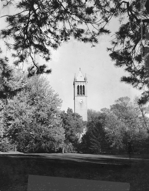 The Campanile tower skirted by the trees that surround the structure. Overhanging pine bows in the foreground frame the view.