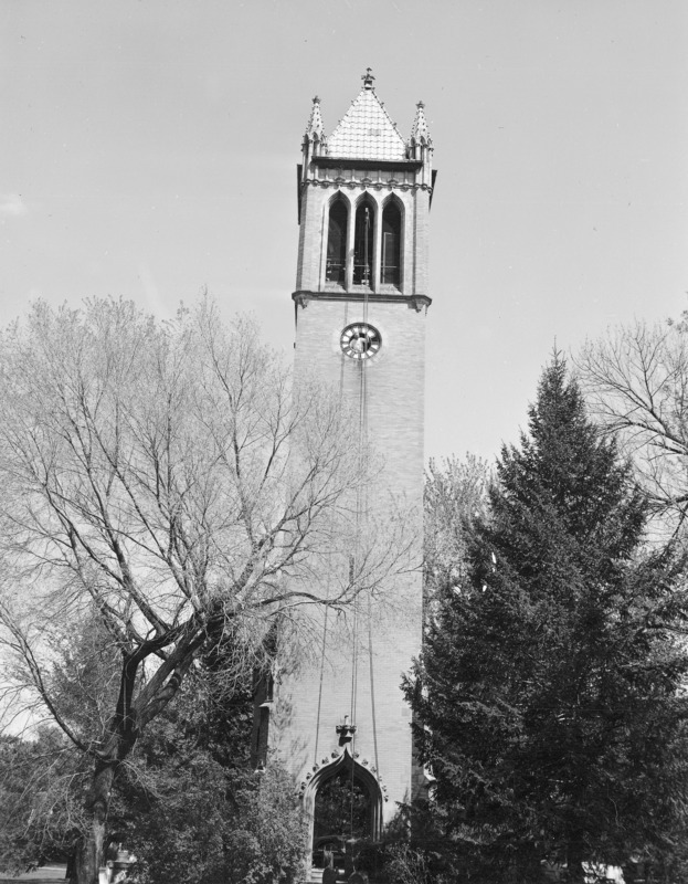 The west side of the Campanile. The view is relatively close from below. A leafless deciduous tree is on the left of the tower and a conifer on the right of the tower. Cables lead down from the belfry to the ground. In the spring of 1956 an additional thirteen treble bells were installed and at the same time a new clavier, or keyboard, was put in. The new bells were cast and tuned by the maker of the previously made bells.