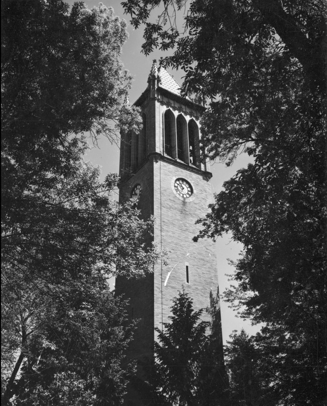 The Campanile from below through an opening in the trees. The trees are full of foliage and the open space is nearly filled by the tower structure. The clock reads 10:50.