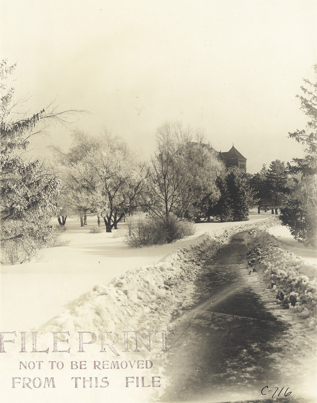 A sepia toned photograph of a snow covered campus. A cleared path is in the foreground with Catt Hall in the distance, rising above frosted and snow-covered trees.