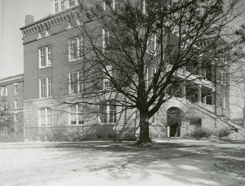 The front and side of Catt Hall. A large tree in the foreground obscures part of the building.