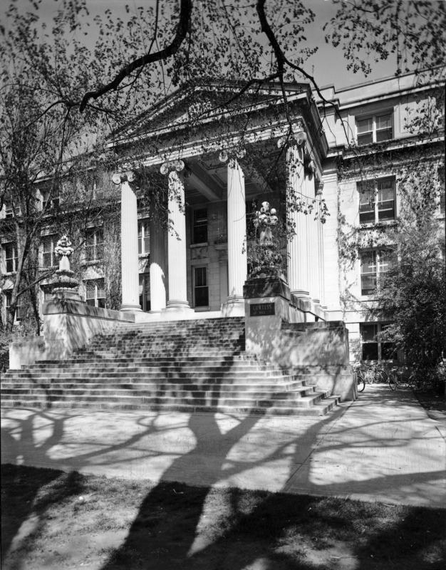 The entrance to Curtiss Hall is framed by the budding branches and shadow of a large tree.