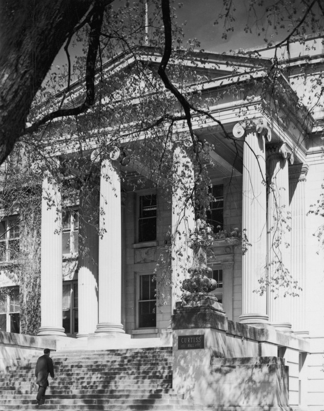 A man walks up the steps of Curtiss Hall, overshadowed by a large tree.