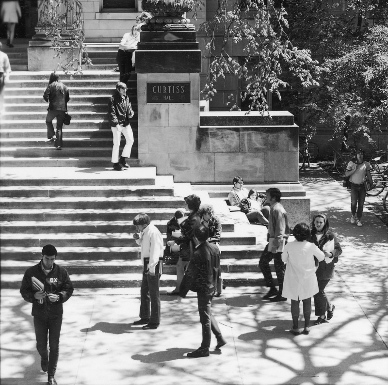 Students engage in a variety of activities on the south side of the Curtiss Hall steps, viewed from above through the branches of a large tree.