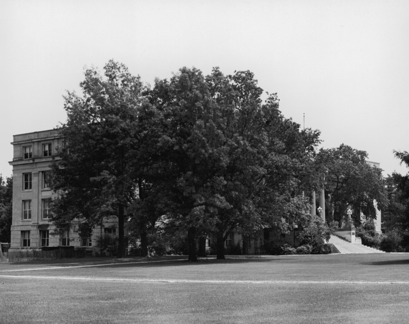 Five large trees are shown on the northwest corner of Curtiss Hall, with another one visible on the south side of the main staircase. Some fencing blocks off some work on the north side of the building.