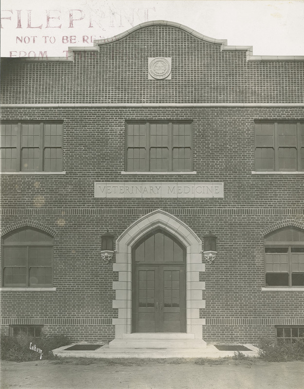 This 1912 view of the main entrance to the Quadrangle (later known as Lagomarcino Hall) was the College of Veterinary Science until 1978.