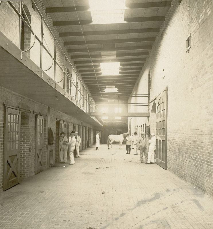 Men are talking and taking notes in the corridor of the hospital building in the Quadrangle (later known as Lagomarcino Hall). A man is observing a horse in the center of the corridor. A number of doorways for housing animals line the corridor, 1913.