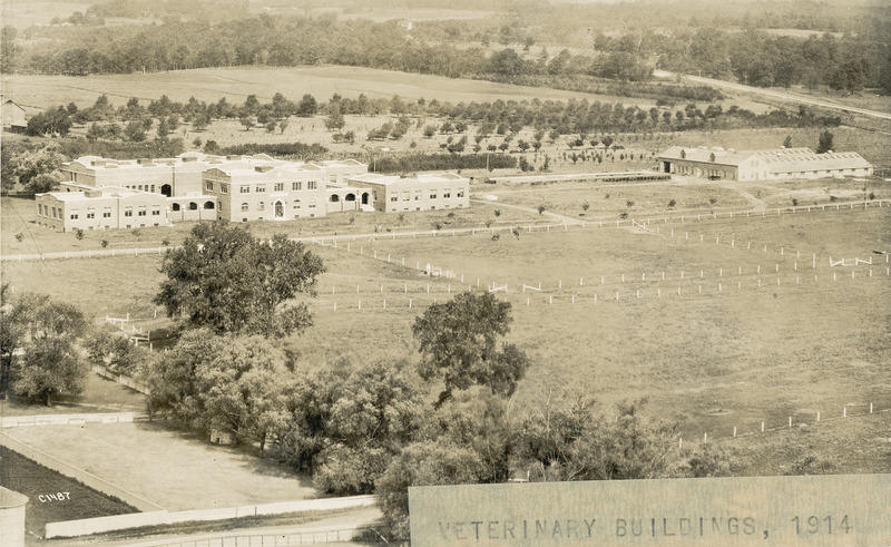 The veterinary buildings are viewed from the top of the new concrete smokestack. To the left is the Quadrangle (later known as Lagomarcino Hall). Four horses are grazing in the pastures in the center of the photograph, June 17, 1914.