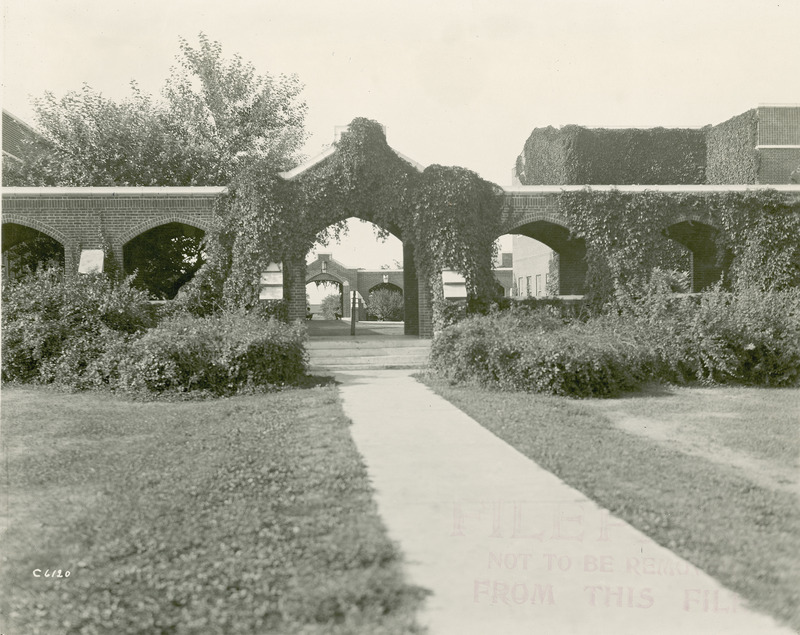 Looking north, the ivy-covered archway leads to the courtyard of the Quadrangle (later knows as Lagomarcino Hall), 1923.