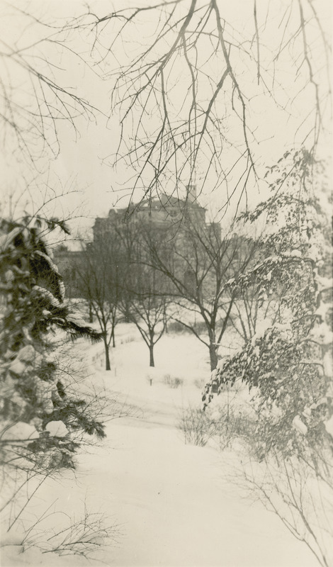 The Memorial Union is famed by trees and other shrubbery in this winter tableau.