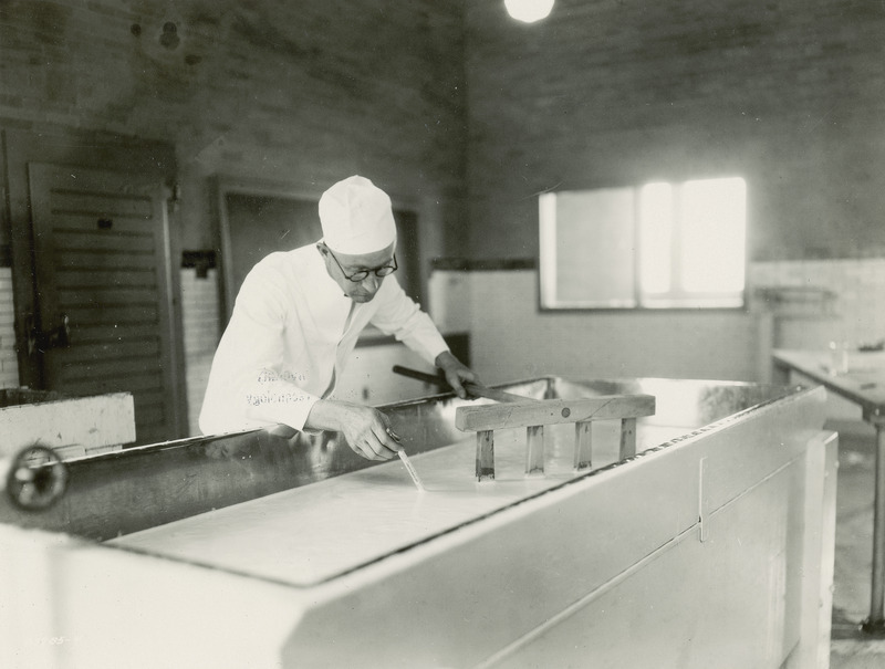 This photograph, taken July 16, 1930, shows E.F. Goss, Associate Professor of Dairy Industries at Iowa State College (University) next to a cheese vat assessing the temperature of the milk as it is being soured and thickened into cottage cheese. The wooden rake in his left hand is used for stirring the milk as it is heated to about 80 degrees Fahrenheit in order to hasten the curdling process.