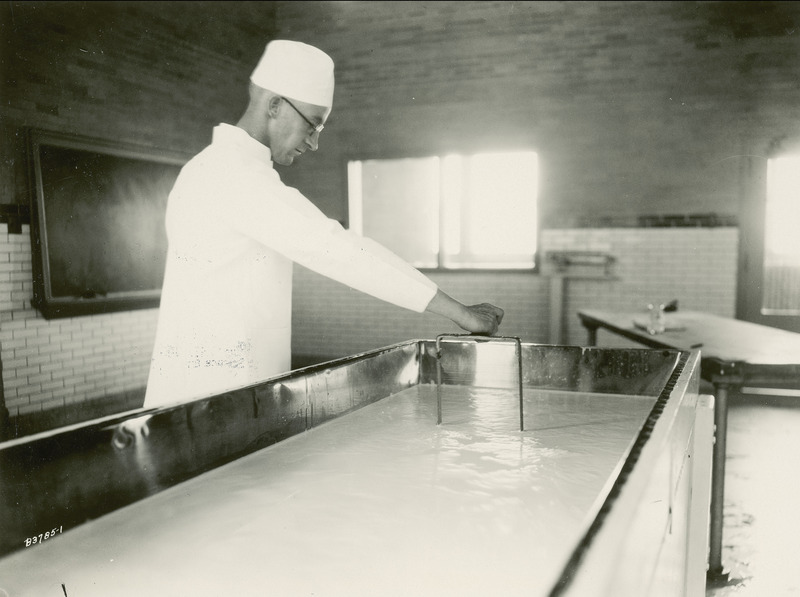 This photograph, taken July 16, 1930, shows E.F. Goss, Associate Professor of Dairy Industries at Iowa State College (University) making cottage cheese in a cheese vat. He is using a cheese cutting knife to break the curd into coarse flakes prior to draining the vat of the whey.