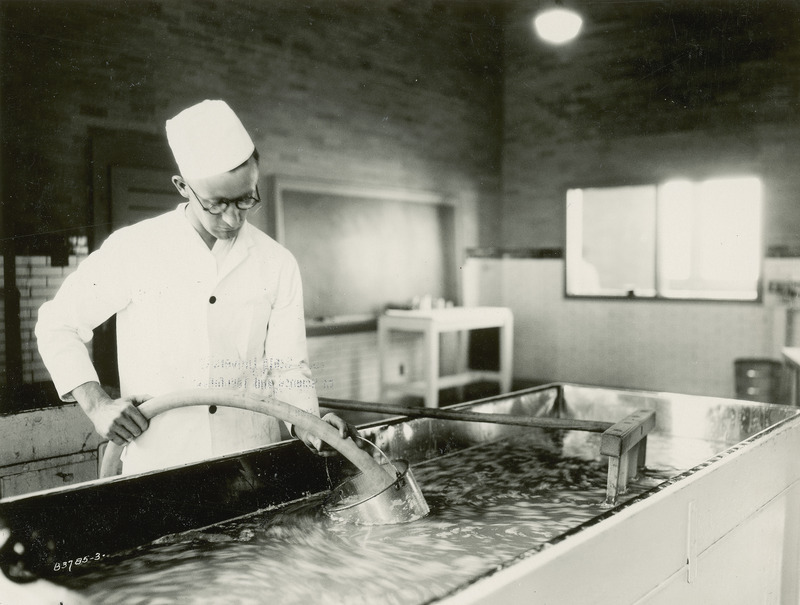 A man is involved in the process of making cottage cheese. He is holding a large hose in a bucket, both of which are partially submerged in a vat of liquid.