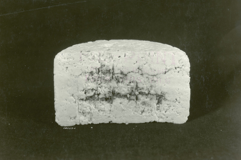 A round of cottage cheese, presumably made by the dairy department at Iowa State College is shown in this February 5, 1930 photograph.