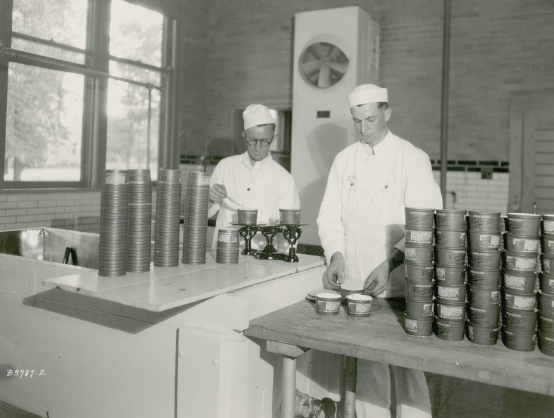 This photograph, taken July 16, 1930, shows E.F. Goss, Associate Professor of Dairy Industries at Iowa State College (University) and a student packaging cottage cheese. Prof. Goss is using a laboratory scale to measure the cheese into round containers that have a label that reads Iowa State College cottage cheese.