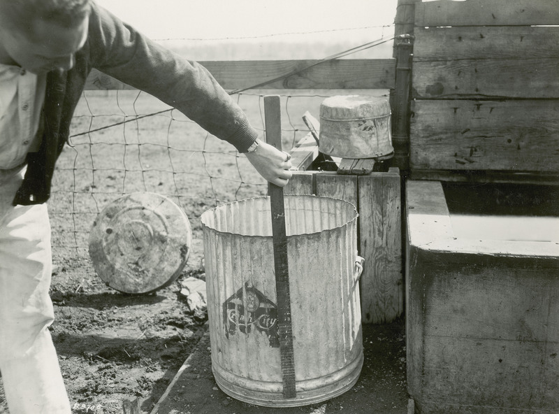 This photograph shows James Rosser O'Neal (M.S., Iowa State College, 1930) measuring the contents of a metal can while collecting data for his theses "Influence of water bowls on water consumption and butterfat yield with dairy cows.".