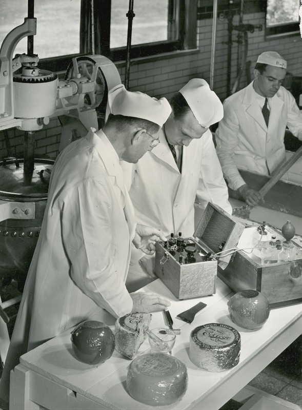 In this 1930 photograph Professor E.F. Goss, Raymond Morrison, and C.O. Grigsby are shown in a dairy laboratory making pH determinations on cheeses. This determination in cheese manufacture assists greatly in the control of uniformity and quality. The photograph shows an electronic pH meter in use next to a vat of cheese. Packaged cheeses on the table next to the men include Iowa State College Blue Cheese and Iowa State College Swiss.