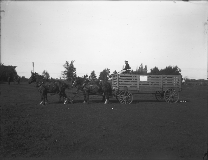 A four-horse team hitched to a hog wagon with one driver. Iowa State College (University) insignia on the harness of the horses are visible. Three men in suits in the middle distance on the image right are looking at the team and wagon, which are posed for the photograph. The photograph was taken in the fall of 1904, probably on Excursion Day.