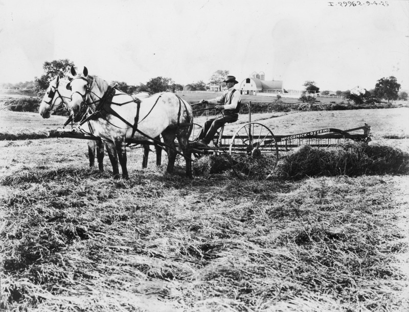 A horse-drawn McCormick-Deering hay rake being pulled by two draft horses. The driver is well dressed for the photograph, wearing a white shirt, vest , and a brimmed hat. A farmstead with large buildings can be seen in the distance over the shoulder of the rake driver.