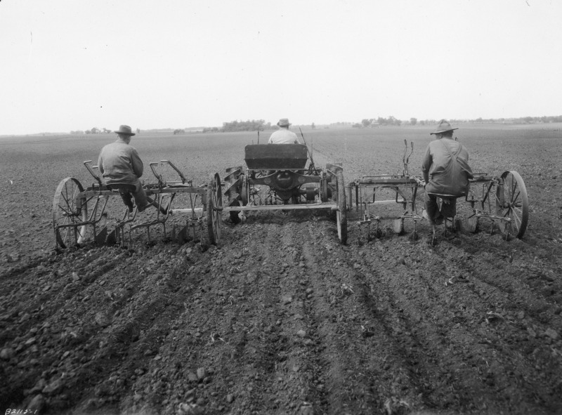 A tractor-mounted six-row cultivator seen from the rear. One man is driving the tractor.One man is also seated on each of the two rear sections of the cultivator, one on each side of the machine. The machinery and the tractor have steel wheels. They are in the middle of a very large plowed field.