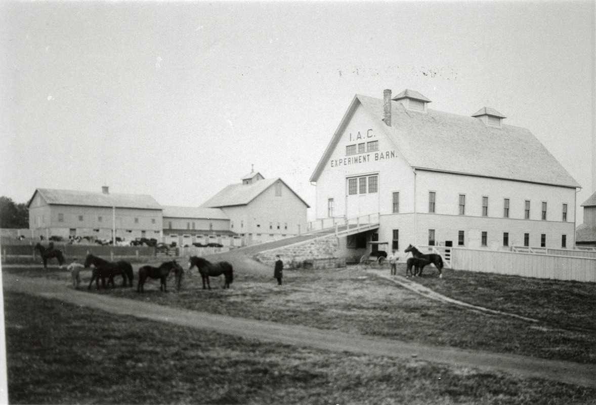 Photograph of the Iowa Agricultural College Experiment Barn with several horses and people in the foreground, and the first cattle barn in the background.