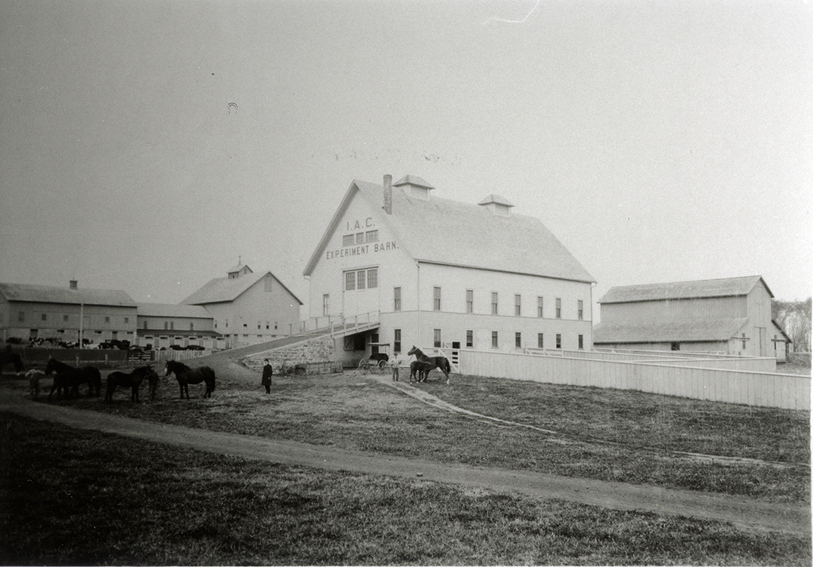 Photograph of the Iowa Agricultural College Experiment Barn with several horses and people in the foreground, and the first cattle barn in the background.