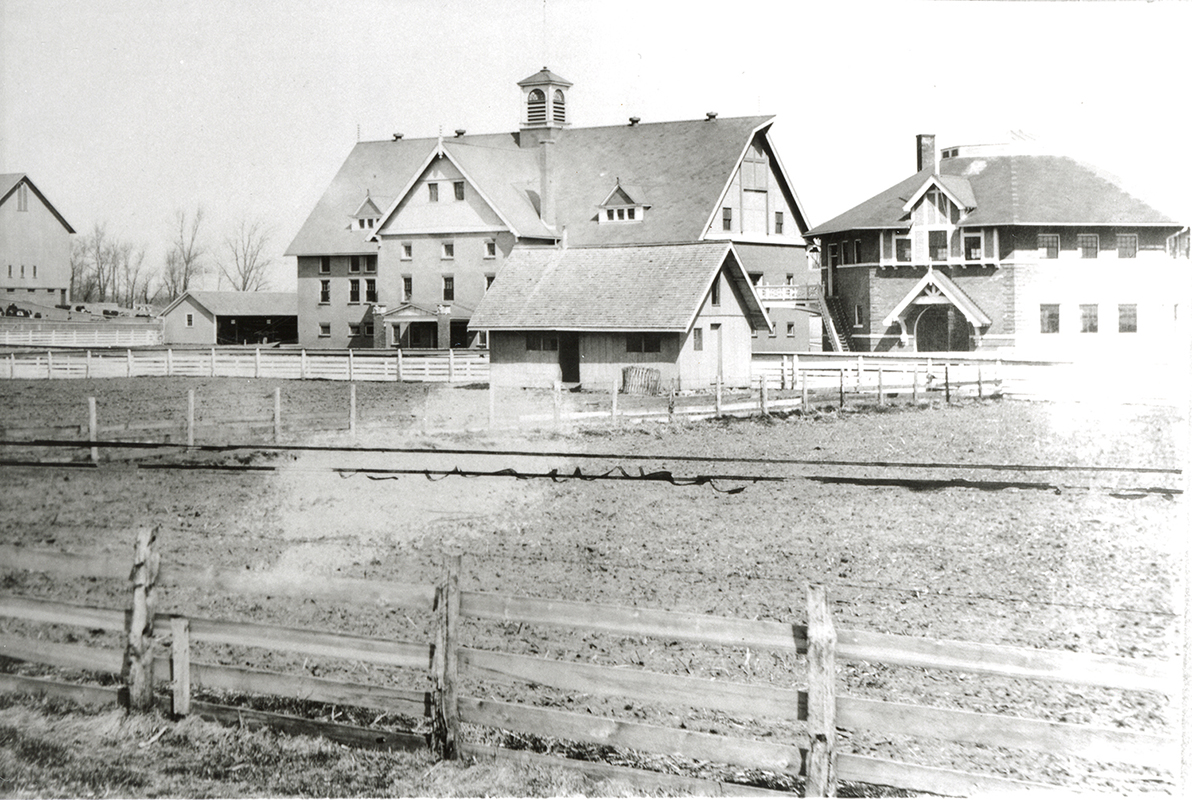 Photograph of the new Experiment Station Barn and the Judging Pavilion to the east. The view is looking northeast.