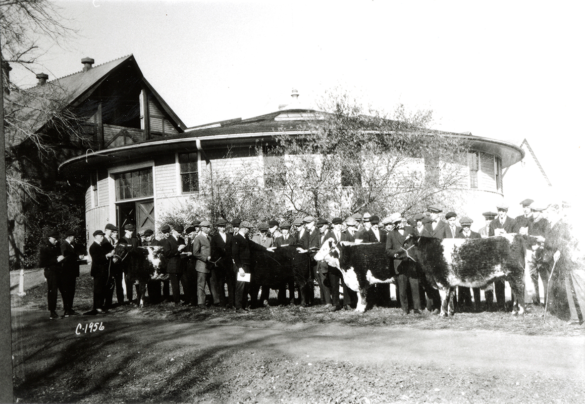 Photograph of a group of people standing with cattle in front of the Judging Pavilion. The horse barn is in the left background. The view is looking northwest.
