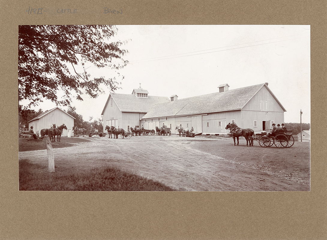 Photograph of several carriages and teams of horses in front of the Cattle Barn, Annotation: "Cattle barns renovated in 1898. Another photo shows the L.A. Building was built when this picture was taken."