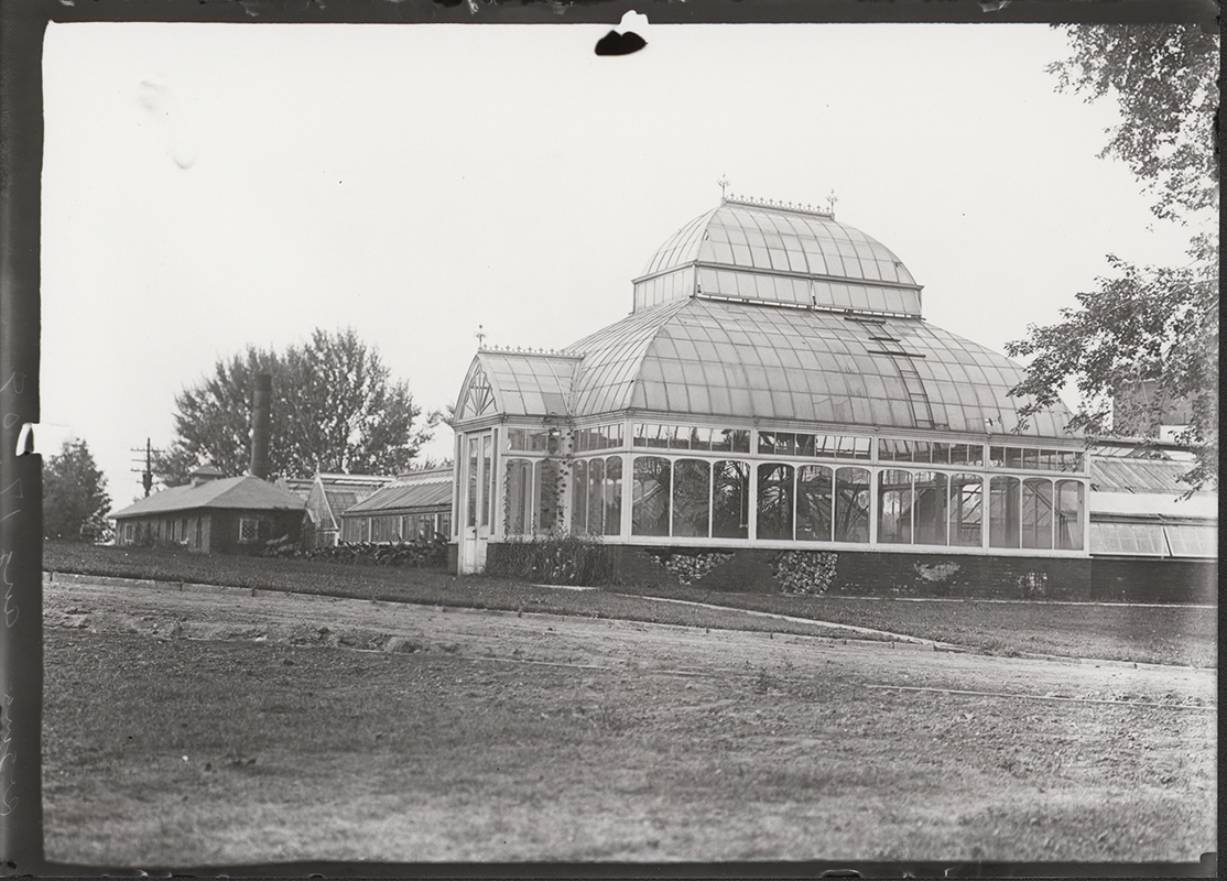 Photograph of two greenhouses and the brick potting shed, which later became the Ceramic Studio. The photograph depicts a barrel-vaulted roof in the nearest greenhouse, where trees are visible inside. Behind that greenhouse sits another shorter greenhouse with angled roof. The shed is a brick building on the left with a smokestack.
