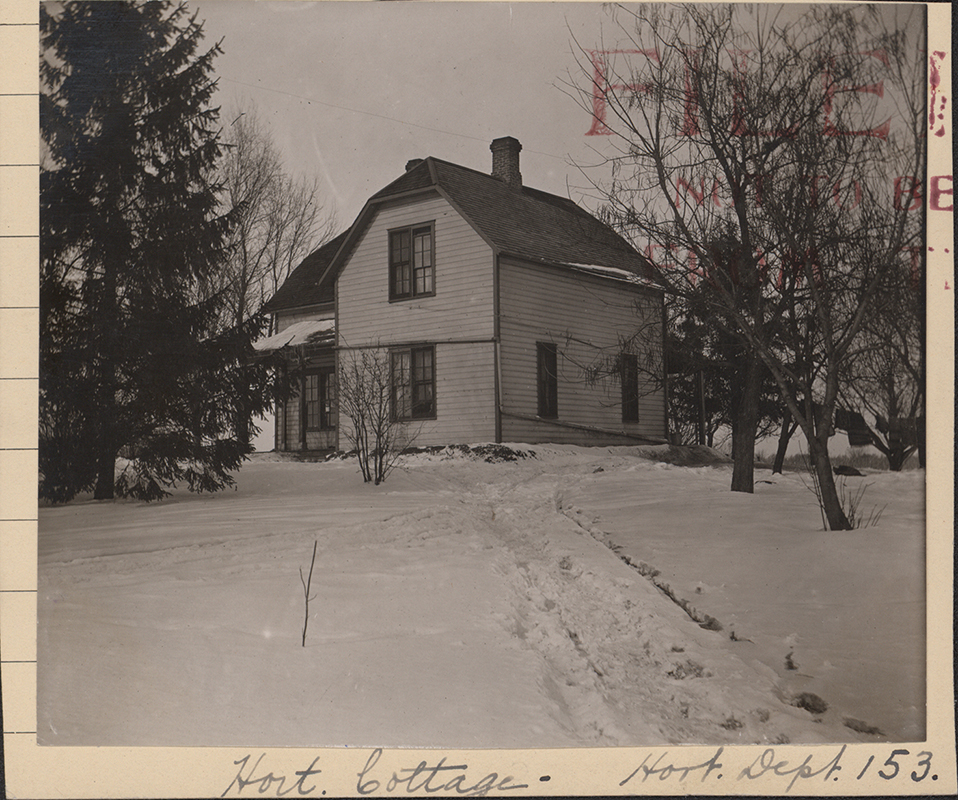 Photograph of Grounds Cottage in the winter. At the time, it housed the Horticulture Department. The snow is deep and tracks are visible leading towards the house.