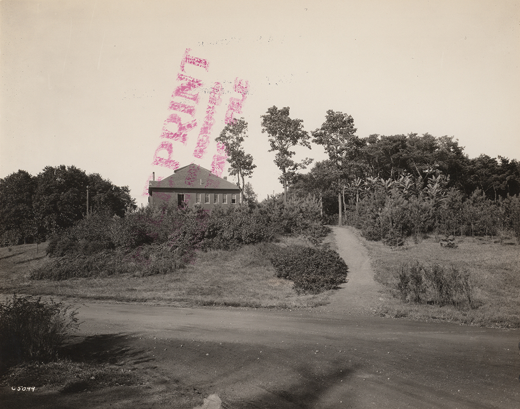 Photograph showing the south side of the Veterinary Hospital.