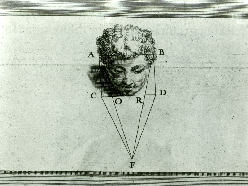 An illustration from the one millionth volume shows the realistic proportions of the human head and face.