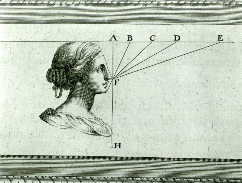 The proportions of a woman's face and head are shown in profile in this illustration from the one millionth volume added to the Iowa State University Library collection.